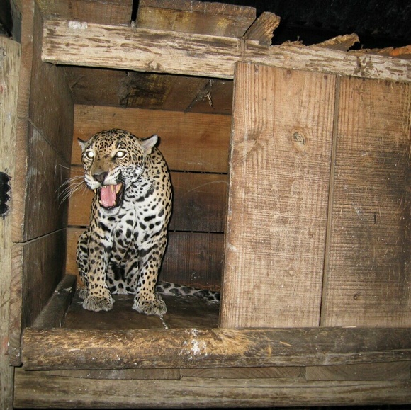 Meet your Posher, Brad - Picture 1 of 1